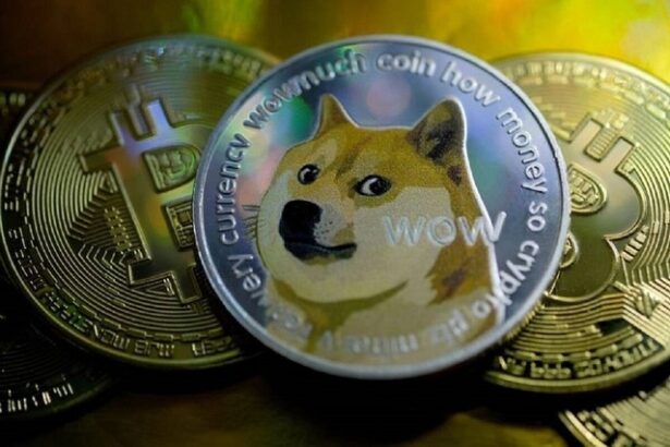 eric trump iahturi de lux si dogecoin dubai devine epicentrul global al criptomonedelor pe fondul reglementarilor sufocante din sua 6831888264ff2