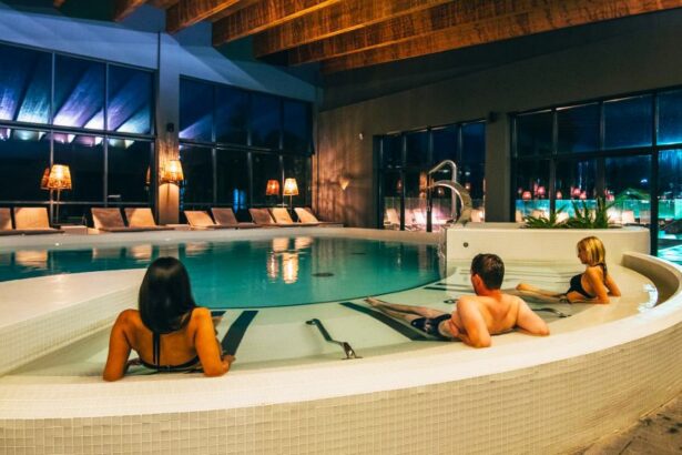 familia movileanu care detine mera resort vrea sa dezvolte un centru spa in statiunea jupiter 68231d51a1395