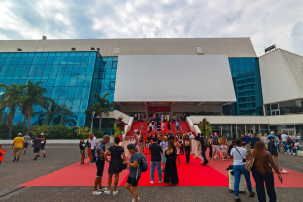 festivalul de la cannes isi arata sprijinul pentru ucraina prin proiectia a trei filme in prima zi a evenimentului 68244743ab545