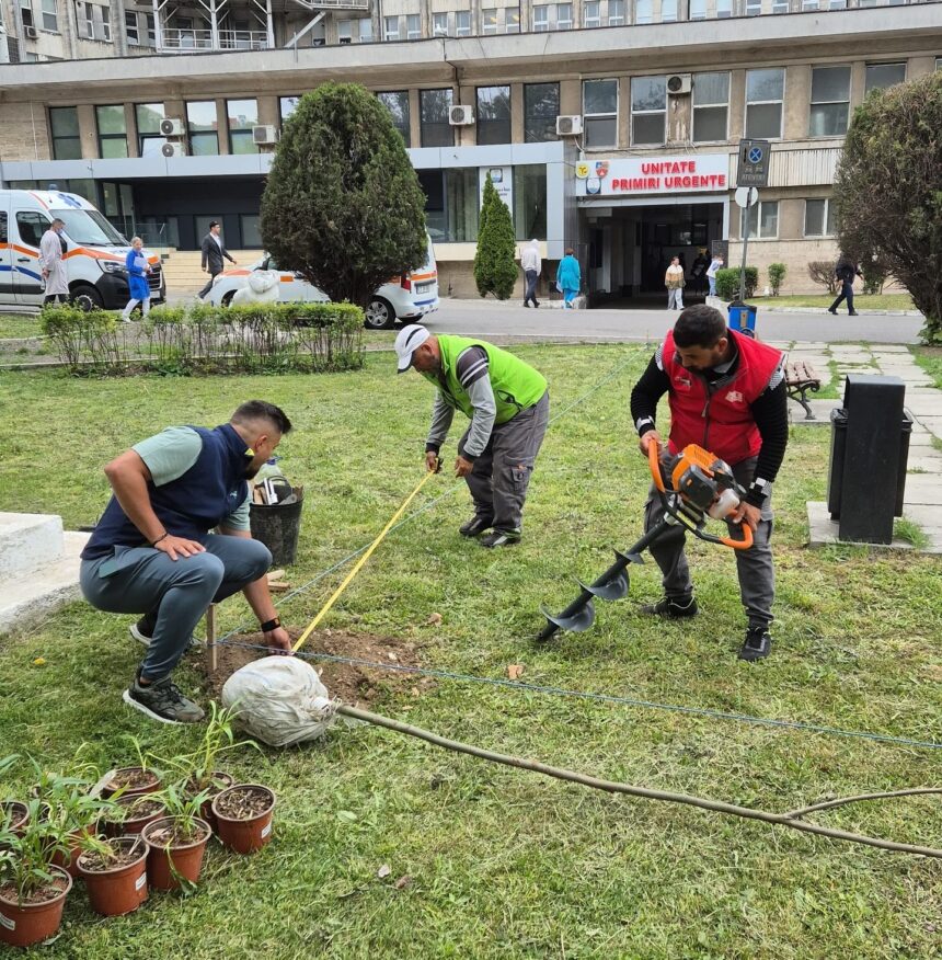 foto asociatia act for tomorrow amenajeaza zilele acestea spatiul verde din curtea spitalului judetean constanta 682765fa1852a