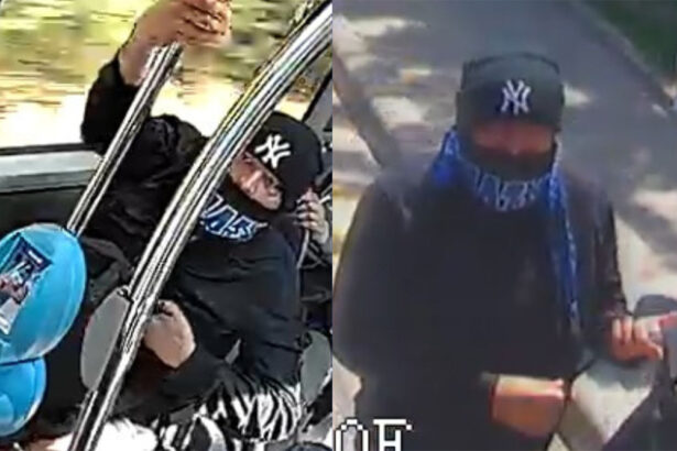 foto video l ati vazut este cautat un barbat din constanta acuzat ca a vandalizat autobuzele ct bus 682ed76b44b1d