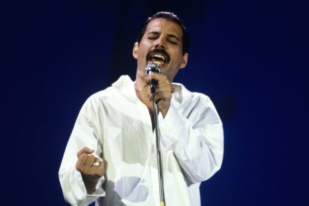freddie mercury ar fi avut o fiica secreta care acum a ajuns la varsta de 48 de ani m a pretuit ca pe o comoara dezvaluirea facuta intr o noua carte biografica 6831adc2a15f3