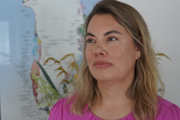 groenlanda ridica miza jocului in arctica china are avantajul daca europa si sua nu investesc masiv in exploatarea resurselor 6836fdddbec84