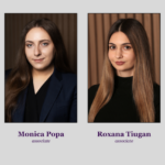 guvernanta corporativa din nou in atentia legiuitorului opinie filip company 68270e148972b