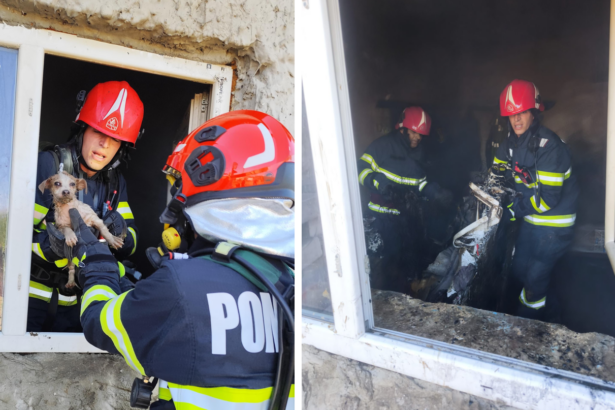 incendiu cu risc de explozie in judetul tulcea un catel speriat a fost salvat de pompieri 682610e66ac88