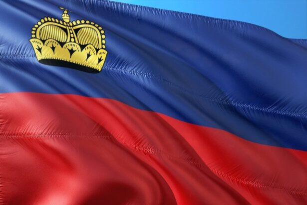 liechtenstein ul cauta o solutie la averile rusesti abandonate 6839637a79583