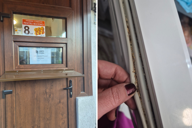 luna si contractul cati vani vireaza gradinita azur in conturile firmei care detine patiseria luata in vizor de cjpc 6835413a54776