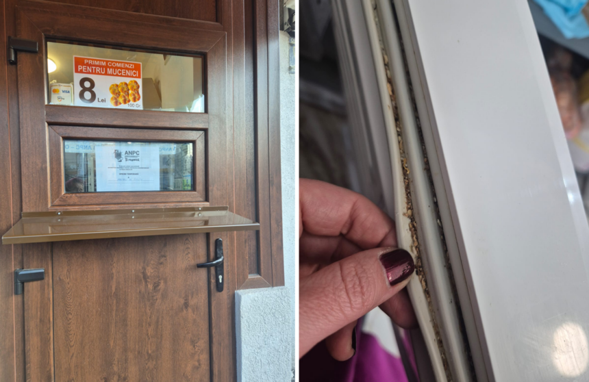 luna si contractul cati vani vireaza gradinita azur in conturile firmei care detine patiseria luata in vizor de cjpc 6835413a54776