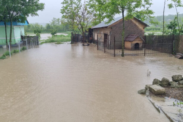 nicusor dan cere autoritatilor sa intervina rapid salvarea vietilor si protejarea bunurilor o prioritate in fata inundatiilor 68386128b3b67