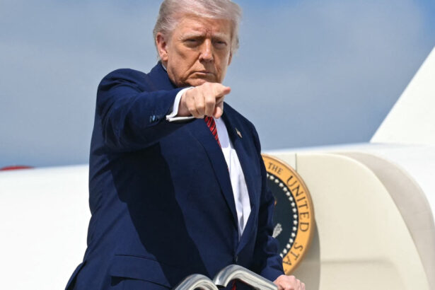 nicusor dan l a invitat pe donald trump in romania bineinteles ca programul sau este extrem de incarcat 68395ac34cc57