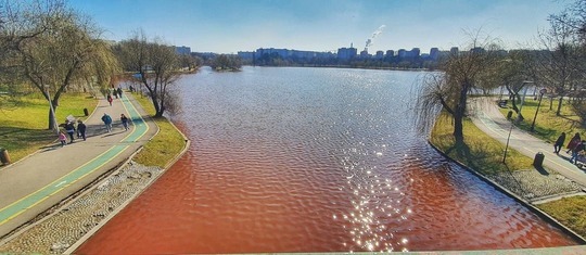 parcul ior va fi transformat intr o gradina muzicala reabilitare pe principiile noului bauhaus european 6835727592539