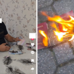 pasapoarte taiate in semn de protest dupa alegeri autoritatile avertizeaza asupra consecintelor legale 6831fc8599c1b