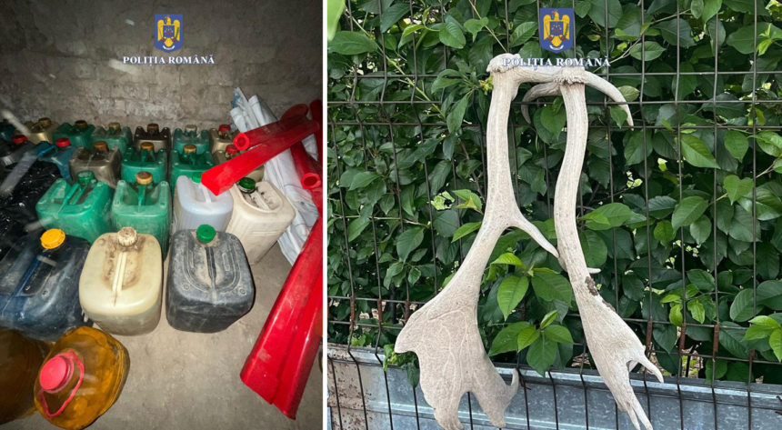 Percheziții la doi bărbați din Cobadin și Ciocârlia pentru braconaj și deținerea a sute de litri de motorină fără acte 1 perchezitii la doi barbati din cobadin si ciocarlia braconaj si sute de litri de motorina fara acte 68270a7ec9cc2