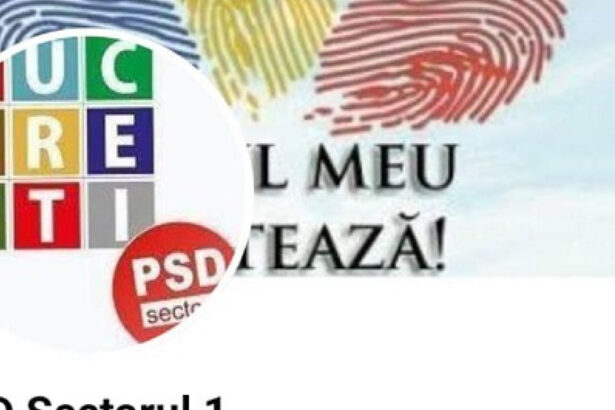 psd sector 1 a reclamat la bec ca le a fost falsificata pagina oficiala de facebook 6828a43d9cade