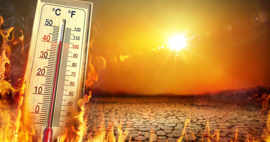 raport temperaturile pe glob se vor mentine la niveluri record in urmatorii cinci ani stiinta este fara echivoc 6836a2ab410e3