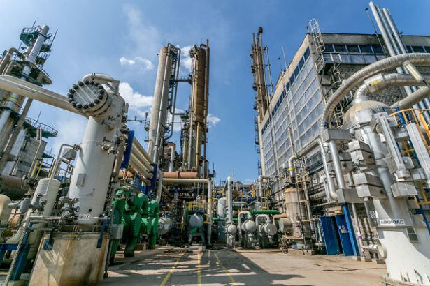 romgaz poate lua o decizie privind preluarea azomures anul acesta daca va fi pozitiva combinatul de ingrasaminte va fi alimentat si cu gaze offshore din neptun deep 68303e04a59ee