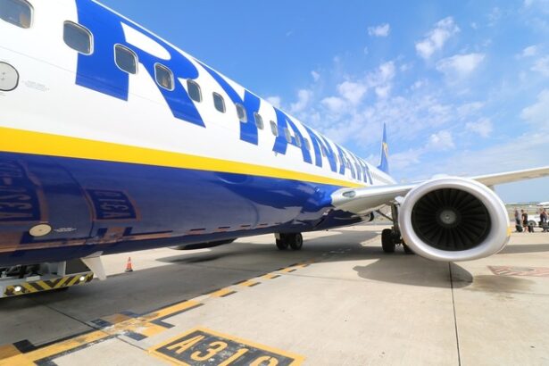 ryanair cere unor insotitori de bord sa returneze majorarile salariale 682c37ed52389