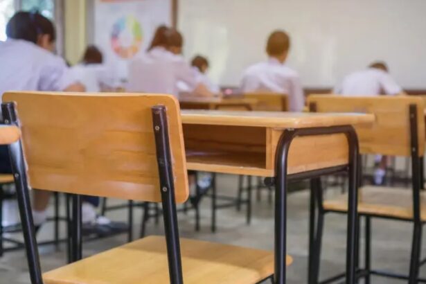 sa isi continue studiile sau sa aleaga o meserie ce i a determinat pe unii tineri din judetul constanta sa renunte la educatie 68304c34a99ed