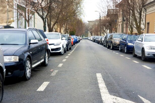 sentinta prin care a fost desfiintata taxa de 200 de lei din constanta atacata cu recurs nu vrem sa lasam portite pentru adoptarea altor taxe similare 682e717c9e4fb