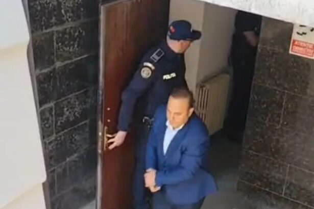 tribunalul constanta decizie in cazul lui mitica tuchila fostul director executiv al dsv tulcea ce a cerut dna 68218fc4256f5