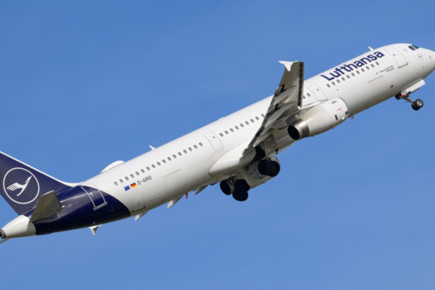 un avion lufthansa a zburat fara pilot dupa ce comandatul a fost blocat in afara cockpitului iar copilotul a lesinat raport oficial 682b06c95494b
