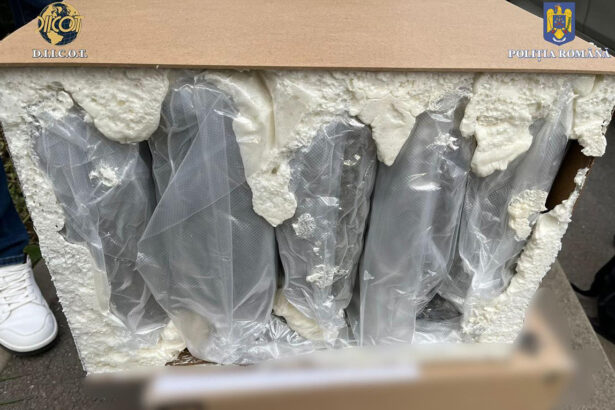 video 10 kilograme de droguri ambalate in poliuretan depistate de politisti marfa adusa de curier direct din spania 68262d1140e73