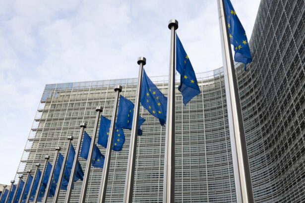 video avertismentul lui bolos comisia europeana ar putea sa nu fie de acord cu taierea cheltuielilor ca solutie pentru reducerea deficitului 6839bd317bceb