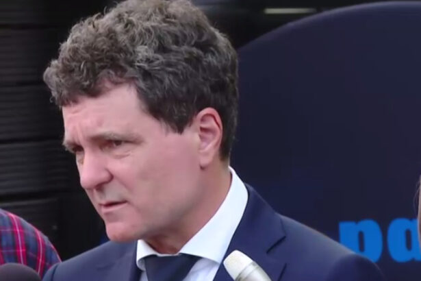 video ce spune nicusor dan despre infiintarea unui minister al diasporei 682f5b62ef43e