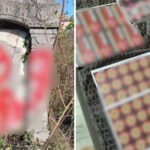 Cimitir vandalizat cu însemne naziste de trei tineri: s-au filmat și au publicat imaginile pe rețelele sociale. Ce spun polițiștii. 3 video cimitir vandalizat cu insemne naziste de trei tineri s au filmat si au publicat imaginile pe retelele sociale ce cred politistii 6826bb94b75df