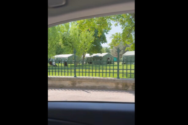 video dezinformare privind razboiul raspandita pe tiktok printr o inregistrare cu organizarea astrofest in bucuresti sunt baliverne 68307ba8aadaa