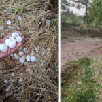 Grindină de dimensiuni mari în județul Constanța: La Lipnița și Băneasa au căzut bucăți de gheață cât ouăle de prepeliță 2 video grindina de dimensiuni mari in judetul constanta la lipnita si baneasa au cazut bucati de gheata cat ouale de prepelita 6830b591d20f3
