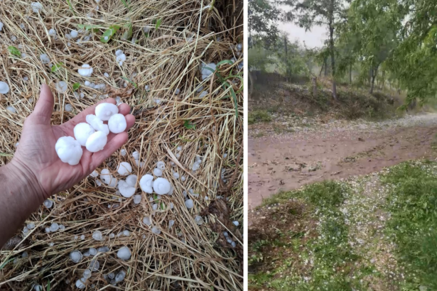 video grindina de dimensiuni mari in judetul constanta la lipnita si baneasa au cazut bucati de gheata cat ouale de prepelita 6830b591d20f3