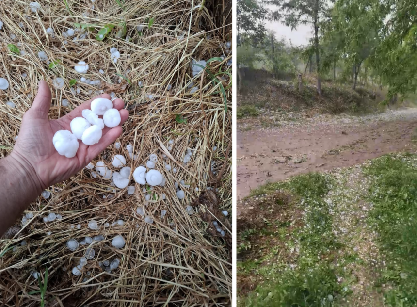 video grindina de dimensiuni mari in judetul constanta la lipnita si baneasa au cazut bucati de gheata cat ouale de prepelita 6830b591d20f3