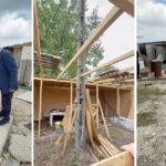 video imagini apocaliptice in tabara din navodari horia constantinescu presedintele cjpc imaginile de la cernobal dupa explozie 6839d772b680f
