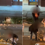 video incident neobisnuit in timisoara o femeie a aruncat 13 000 de euro in mijlocul strazii de ce a recurs la acest gest 6828e001c9cb4
