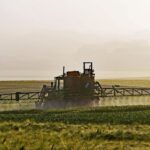 Percheziții într-un caz de delapidare a unor cantități importante de îngrășăminte și pesticide de la o societate comercială, cu un prejudiciu de peste șapte milioane de lei. 2 video perchezitii intr un caz privind delapidarea unor cantitati importante de ingrasaminte si pesticide de la o societate comerciala prejudiciu de peste sapte milioane de lei 68259cfa11a9a