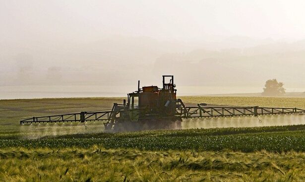 video perchezitii intr un caz privind delapidarea unor cantitati importante de ingrasaminte si pesticide de la o societate comerciala prejudiciu de peste sapte milioane de lei 68259cfa11a9a