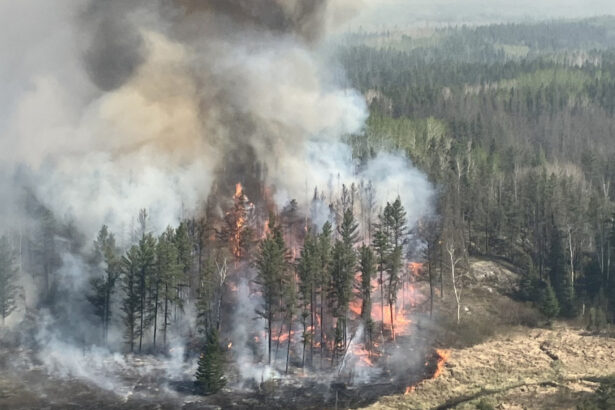 video peste 17 000 de persoane evacuate din cauza incendiilor de vegetatie in centrul canadei flacarile se deplasau foarte repede 683821dee427f