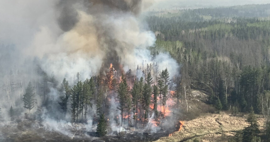 video peste 17 000 de persoane evacuate din cauza incendiilor de vegetatie in centrul canadei flacarile se deplasau foarte repede 683821dee427f