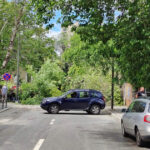 video un copac a cazut pe o strada din centrul bucurestiului doua masini avariate circulatia in zona este blocata 6835b71f0766e
