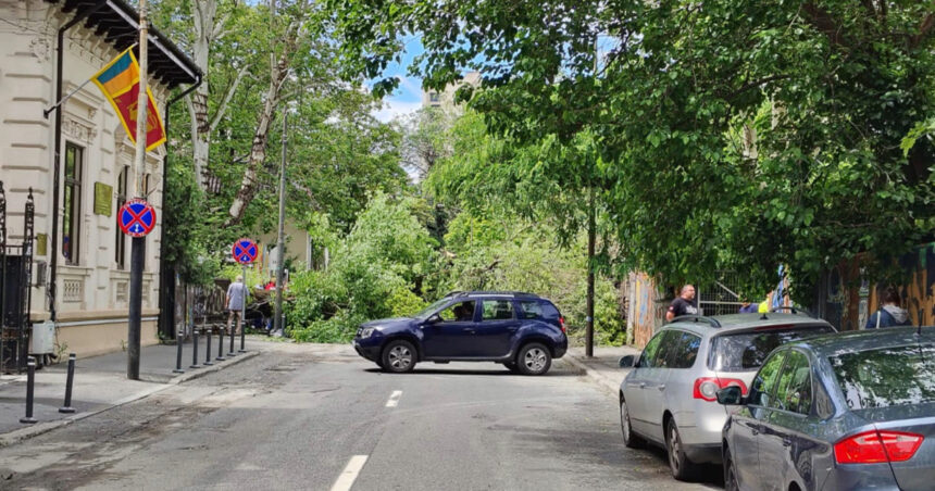 Un copac a căzut pe o stradă din centrul Bucureștiului, avariind două mașini. Circulația în zonă este blocată. 1 video un copac a cazut pe o strada din centrul bucurestiului doua masini avariate circulatia in zona este blocata 6835b71f0766e