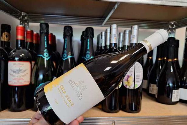 vinul zilei un alb din sardinia cu note olfactive de ananas floare de portocal si tente de mar pe palat arome simple elegante si catifelate de savurat alaturi de aperitive fructe de mare pest 683161cc4922e