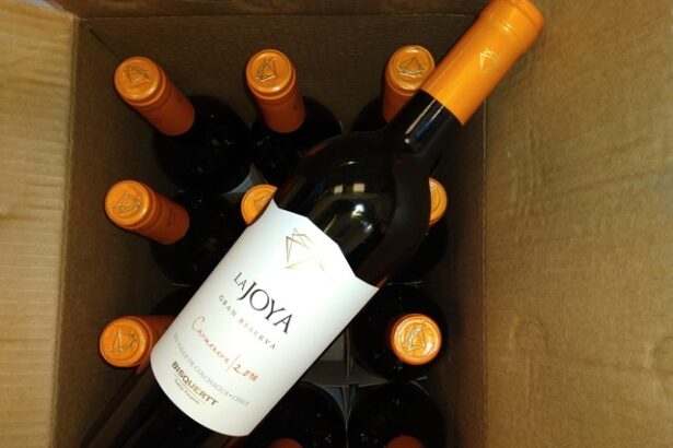 vinul zilei un carmenere din chile cotat cu 91 de puncte james suckling un vin intens si bine structurat cu note de prune coapte mure piper negru vanilie ciocolata si cafea de savurat alaturi 682aca542d6de