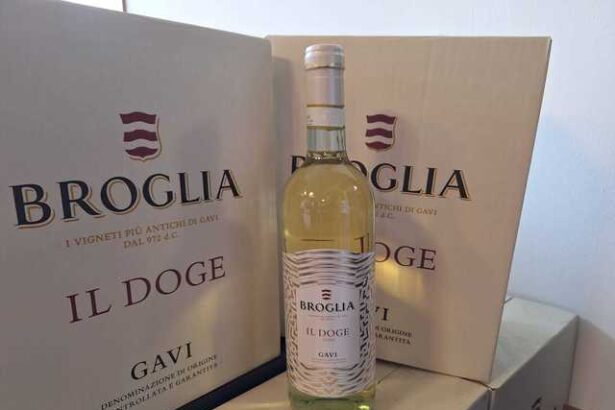 vinul zilei un vin alb cu note florale vegetale si de fructe albe proaspat si reconfortant perfect pentru aperitive preparate usoare sau momente de relaxare in compania celor dragi 682ebed95ac81