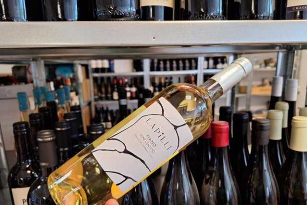 vinul zilei un vin alb elegant din inima campaniei italia note rafinate de flori de tei salcam miere caise coaja de portocala si accente de alune prajite potrivit ca atare sau alaturi de fruc 68258438b0f40