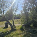 adolescentul de 16 ani gasit spanzurat in parcul tabacarie era din ovidiu ce spune politia despre acest caz 683e983585775