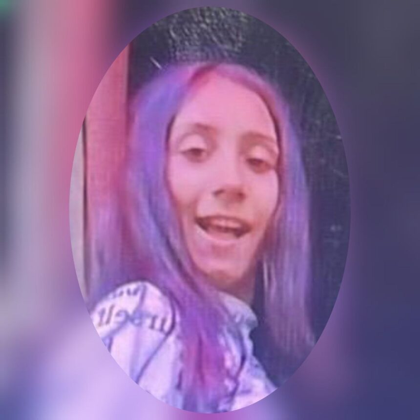 alerta la medgidia o minora de 13 ani este data disparuta sunati la 112 daca o vedeti 6854fdd3c7967