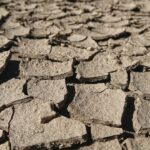 ANM: Secetă pedologică la culturile de porumb și grâu de toamnă în majoritatea regiunilor țării (agrometeo) 2 anm seceta pedologica la culturile de porumb si grau de toamna in cea mai mare parte a tarii agrometeo 685fa25c853e6