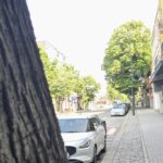 Babu la ceasornicărie 2 babu in vizita la ceasornicarie 684441bd4f48e