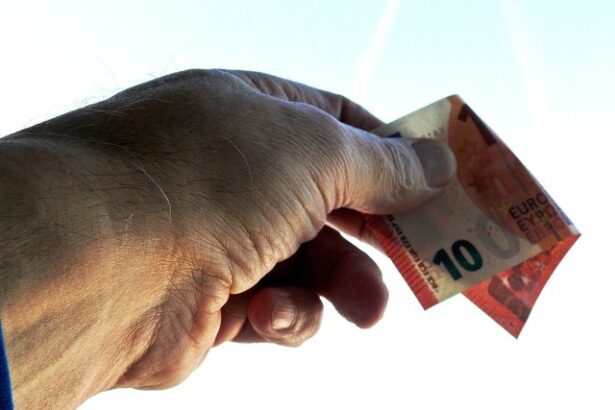 bulgaria incepe dubla afisare si leva si euro 6842b6a13a29f